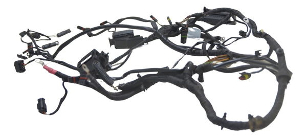 Chicote Principal Bmw F 800 Gs 09-12 Original