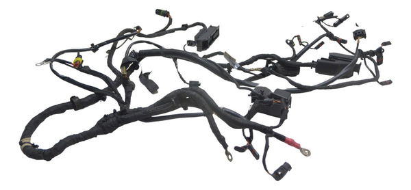 Chicote Principal Bmw F 800 Gs 09-12 Original