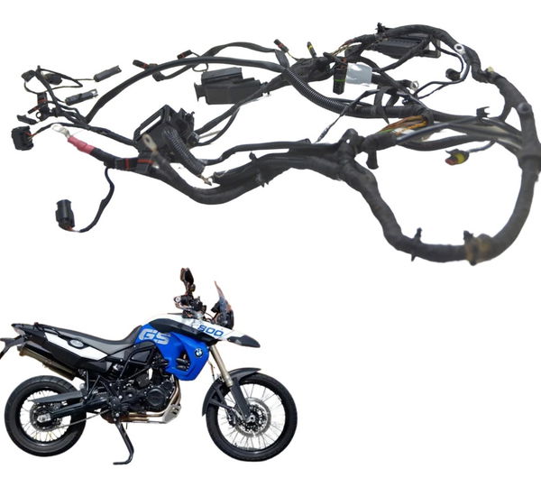 Chicote Principal Bmw F 800 Gs 09-12 Original