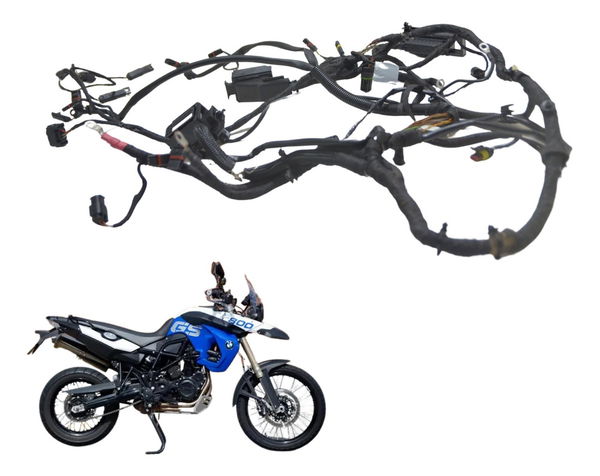 Chicote Principal Bmw F 800 Gs 09-12 Original
