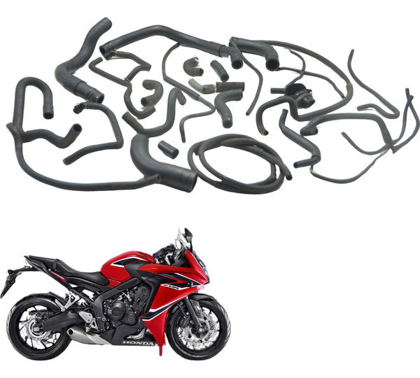 Kit Mangueiras Honda Cbr 650f 2019 Original