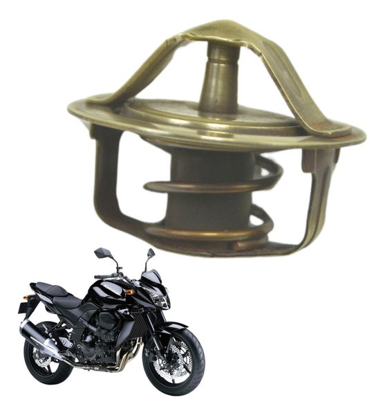 Válvula Termostática Kawasaki Z 750 08-12 Original