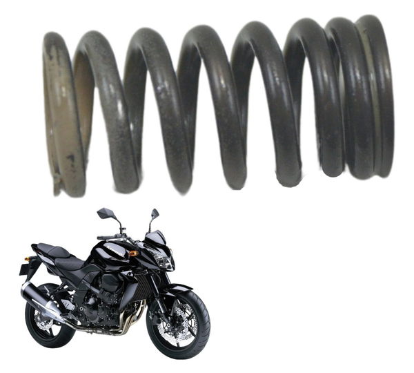 Mola Válvula Kawasaki Z 750 08-12 Original