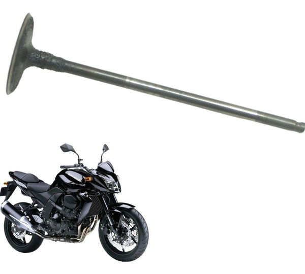 Válvula Admissão Kawasaki Z 750 08-12 Original