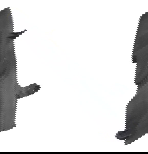 Capa Corrente C/ Detalhes Honda Cbr 600 Rr 03-04 Original