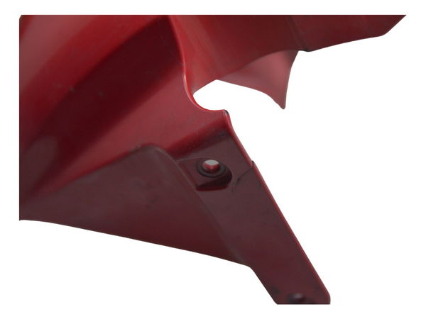 Paralama Dianteiro C/ Detalhes Honda Cbr 600 Rr 03-04 Orig