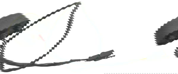 Luz Placa Kawasaki Ninja 300 13-18 Original