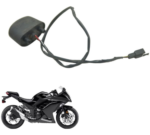 Luz Placa Kawasaki Ninja 300 13-18 Original