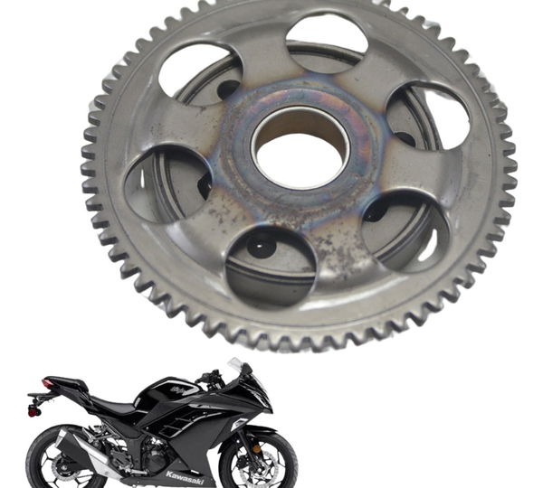 Placa Partida Kawasaki Ninja 300 13-18 Original