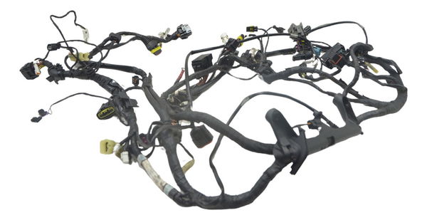 Chicote Principal Ducati Panigale 1299 S 16-18 Original