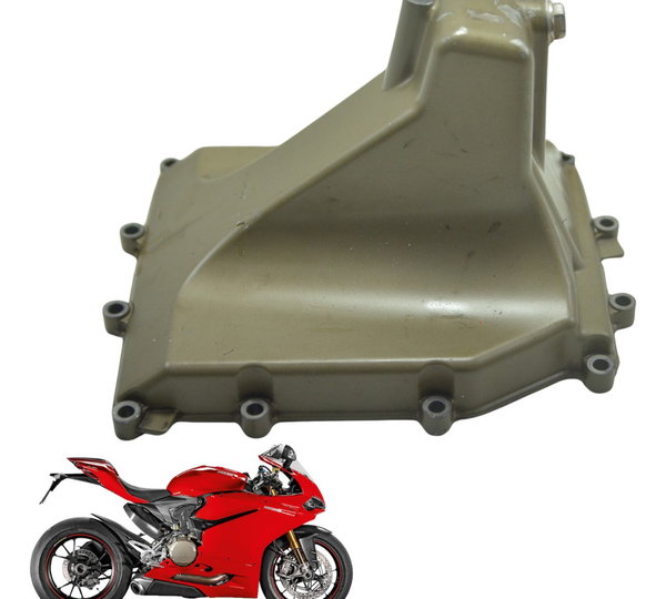 Tampa Carter Ducati Panigale 1299 S 16-18 Original