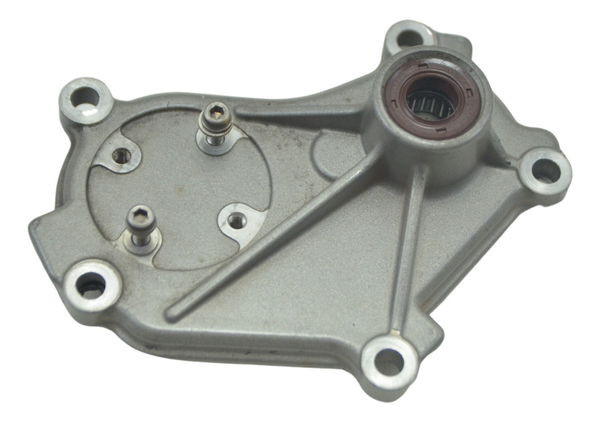 Tampa Eixo Pedal Câmbio Ducati Panigale 1299 S 16-18 Orig