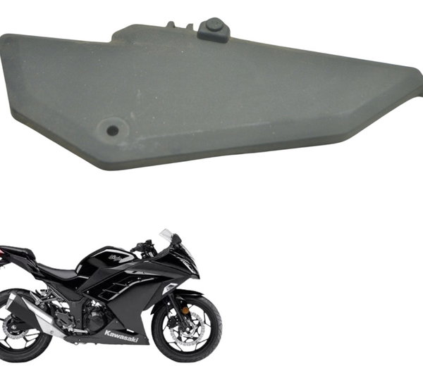 Acabamento Farol Esquerdo Kawasaki Ninja 300 13-18 Original Preto
