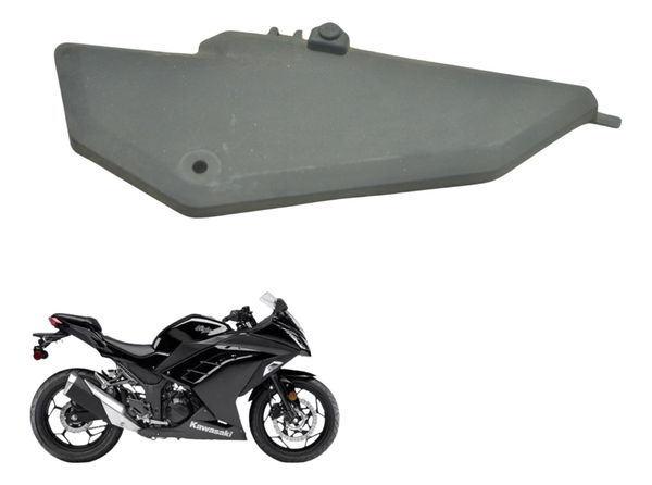 Acabamento Farol Esquerdo Kawasaki Ninja 300 13-18 Original