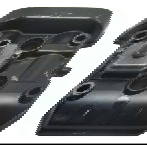 Tampa Cabeçote Kawasaki Ninja 300 13-18 Original