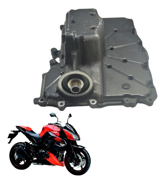 Tampa Carter Kawasaki Z 1000 10-14 Original
