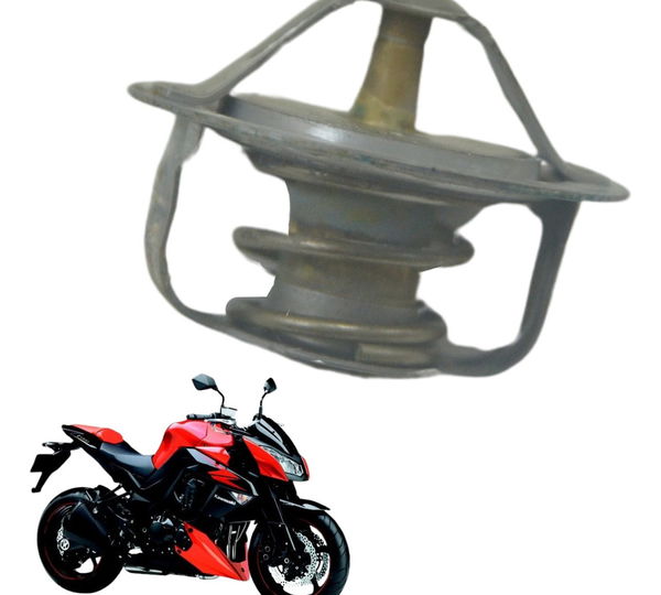 Válvula Termostática Kawasaki Z 1000 10-14 Original