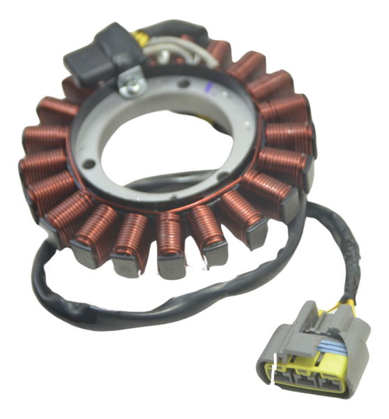 Estator Bmw R1250 R 1250 Gs 19-24 Original