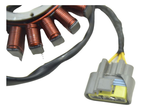 Estator Bmw R1250 R 1250 Gs 19-24 Original
