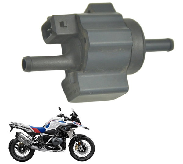 Filtro Canister Bmw R1250 R 1250 Gs 19-24 Original