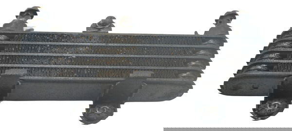 Radiador Óleo Suzuki Dl 650 V Strom 09-13 Original