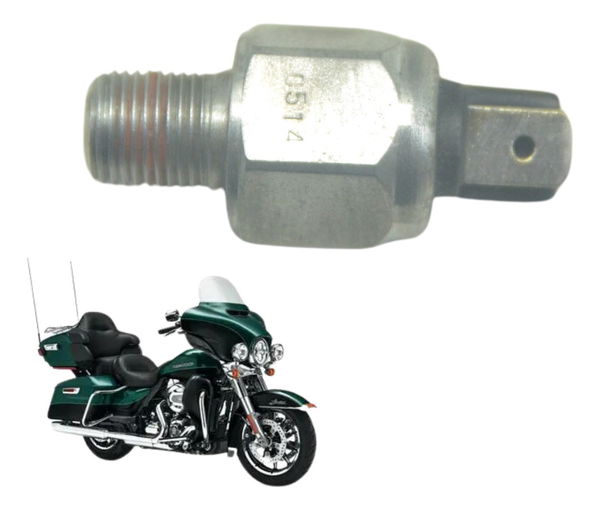 Interruptor Freio Traseiro Harley Electra Glide 14-17 Orig