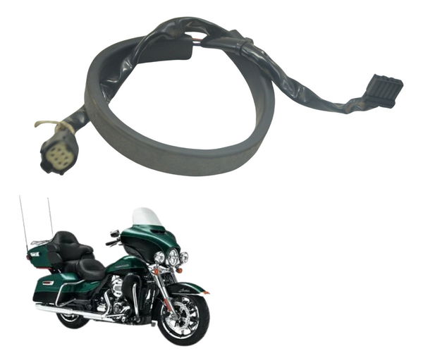 Chicote Lanterna Traseira Harley Electra Glide 14-17 Orig