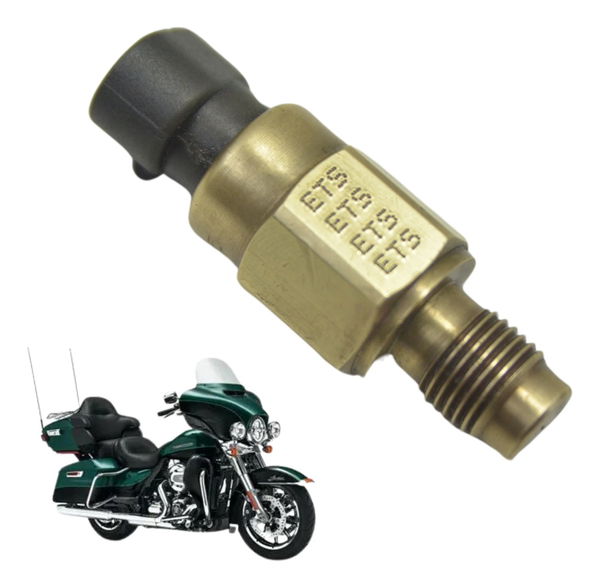 Sensor Temperatura Harley Electra Glide 14-17 Original