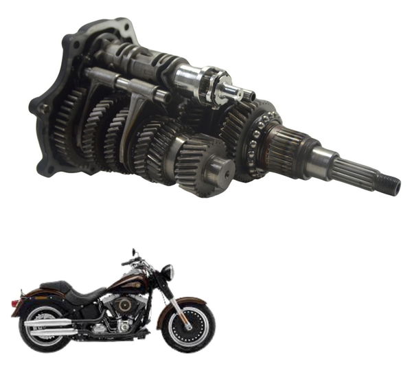 Caixa Marcha Câmbio Complet Harley Softail 96 Cub 07-15 Orig