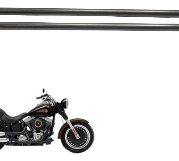 Par Vareta Válvula Harley Softail 96 Cub 07-15 Original