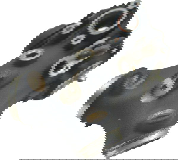 Carcaça Corpo Injeção Harley Dyna 09-11 Original