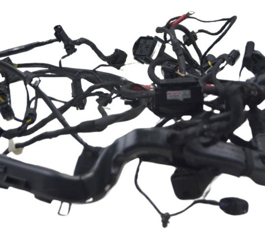 Chicote Principal Bmw R1200 R 1200 Gs 15-17 Original