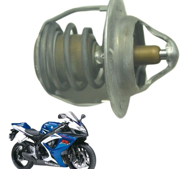 Válvula Termostática Suzuki Gsx-r 750 Srad 07-10 Original