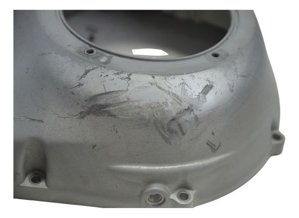 Tampa Primária C/ Detalhes Harley Softail Fx 1450 04-05 Orig