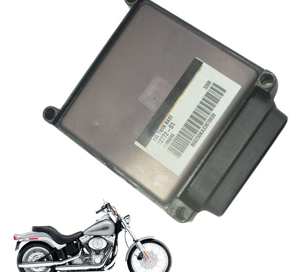 Modulo Principal Harley Softail Fx 1450 04-05 Original