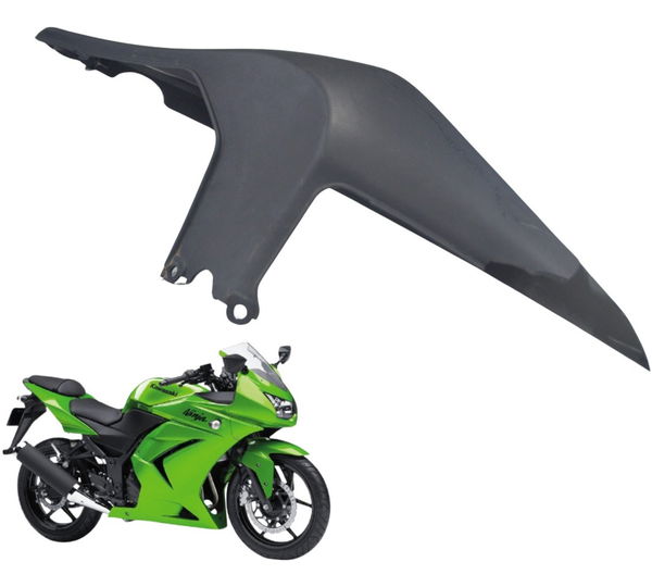 Carenagem Rabeta Dir Avaria Kawasaki Ninja 250 R 08-12 Orig Preto