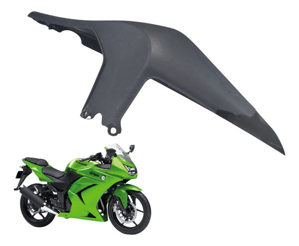 Carenagem Rabeta Dir Avaria Kawasaki Ninja 250 R 08-12 Orig