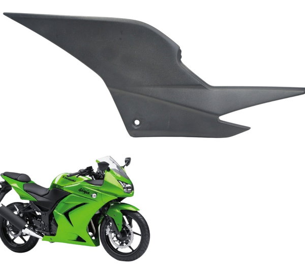Carenagem Lateral Esquerda Kawasaki Ninja 250 R 08-12 Orig Preto