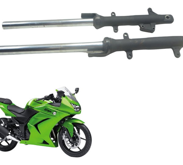 Par Bengalas Kawasaki Ninja 250 R 08-12 Original