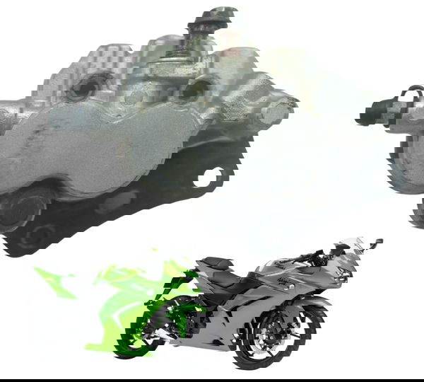 Pinça Freio Traseira Kawasaki Ninja 250 R 08-12 Original