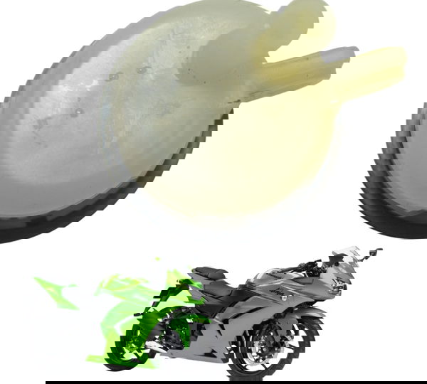 Reservatório Freio Traseiro Kawasaki Ninja 250 R 08-12 Orig