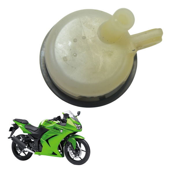 Reservatório Freio Traseiro Kawasaki Ninja 250 R 08-12 Orig