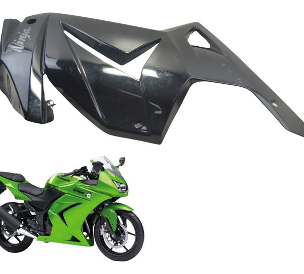 Carenagem Direita C/ Detalhe Kawasaki Ninja 250 R 08-12 Orig Preto