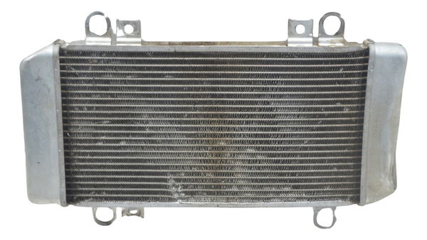 Radiador C/ Detalhes Kawasaki Ninja 250 R 08-12 Original