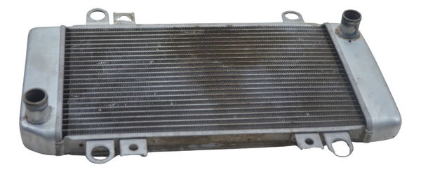 Radiador C/ Detalhes Kawasaki Ninja 250 R 08-12 Original