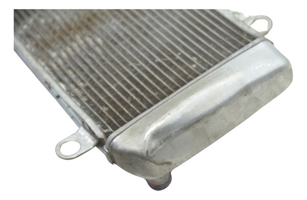 Radiador C/ Detalhes Kawasaki Ninja 250 R 08-12 Original