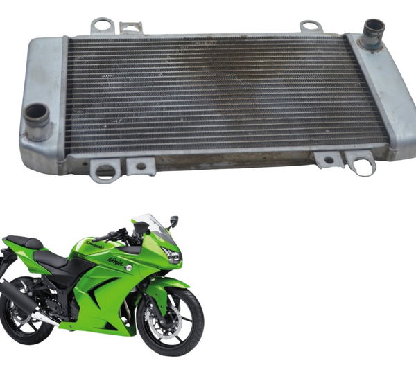 Radiador C/ Detalhes Kawasaki Ninja 250 R 08-12 Original
