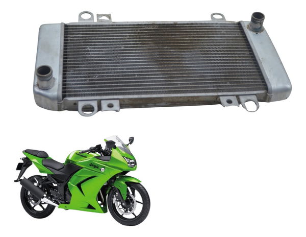 Radiador C/ Detalhes Kawasaki Ninja 250 R 08-12 Original