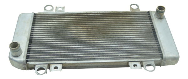 Radiador Kawasaki Ninja 250 R 08-12 Original