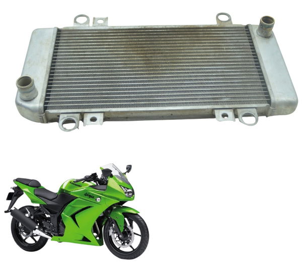 Radiador Kawasaki Ninja 250 R 08-12 Original